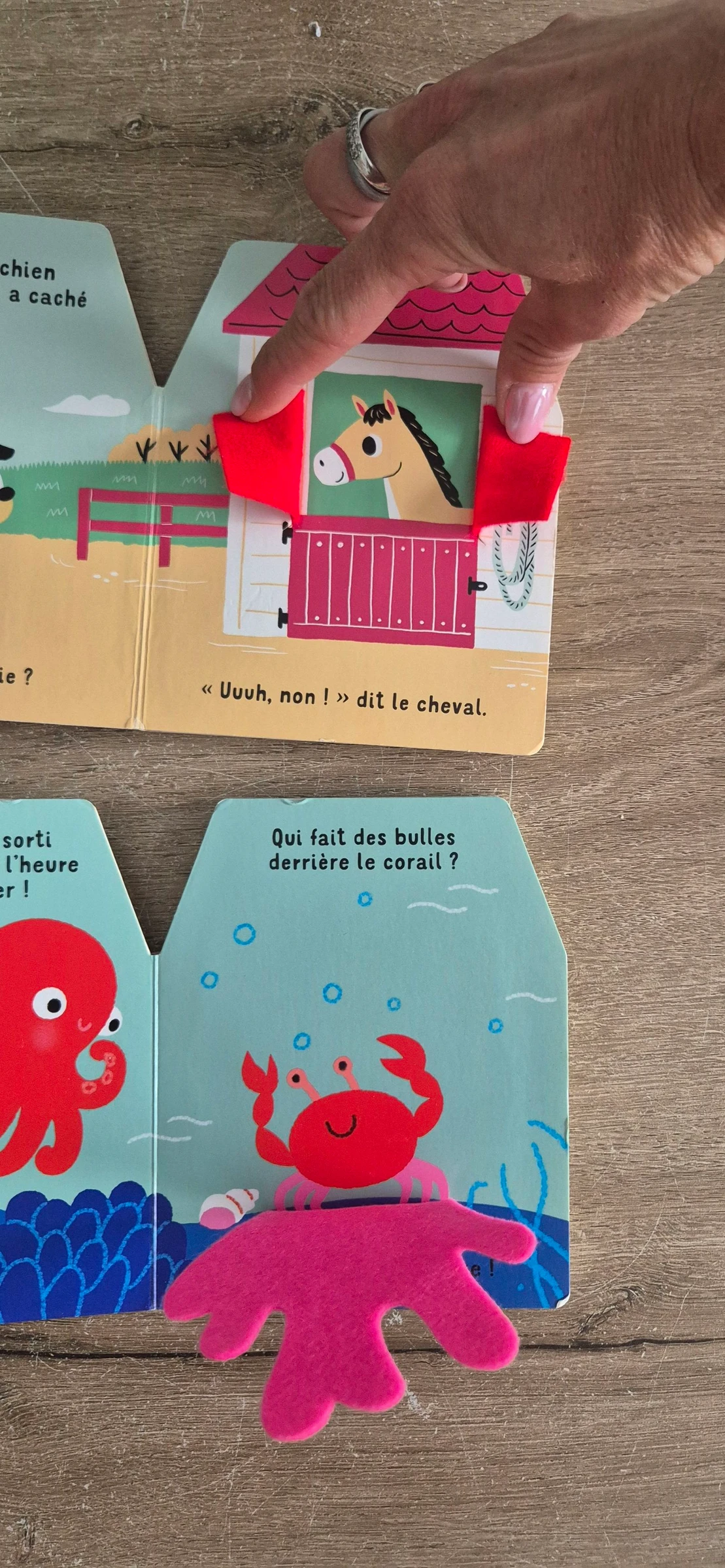 Lote de livros Cache-cache em feltro – photo 4